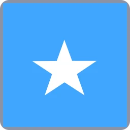 Somalia Xiaomi Account Removal (+252)