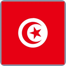 Tunisia Xiaomi Account Removal (+216)