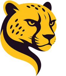 Cheetah Tool Pro Activation - 1 Year